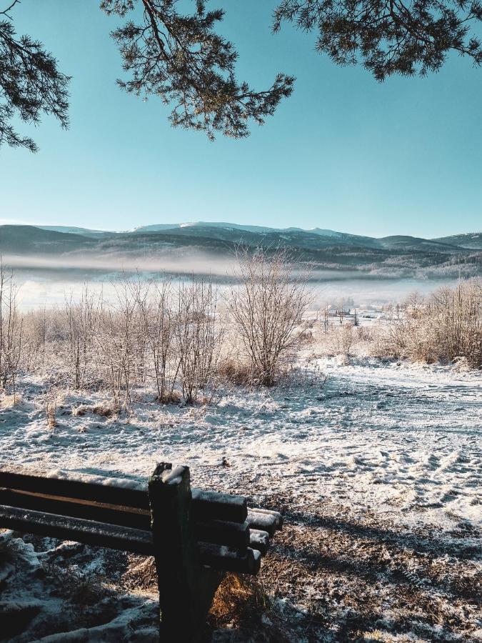 Domek Drwala K. Karpacza Villa Sosnówka Екстериор снимка